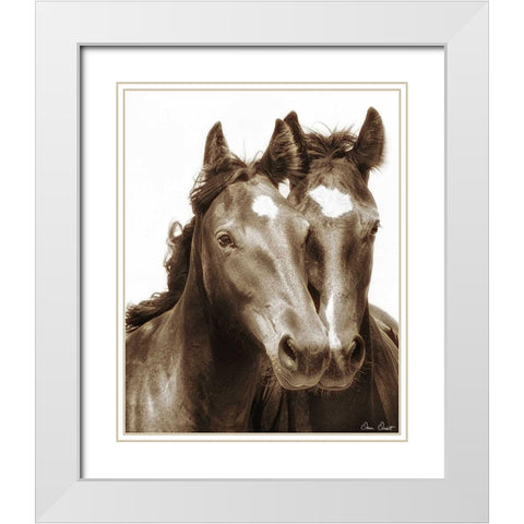 Horse Portrait III White Modern Wood Framed Art Print with Double Matting by Drost, David