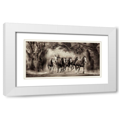 The Chase II White Modern Wood Framed Art Print with Double Matting by Drost, David