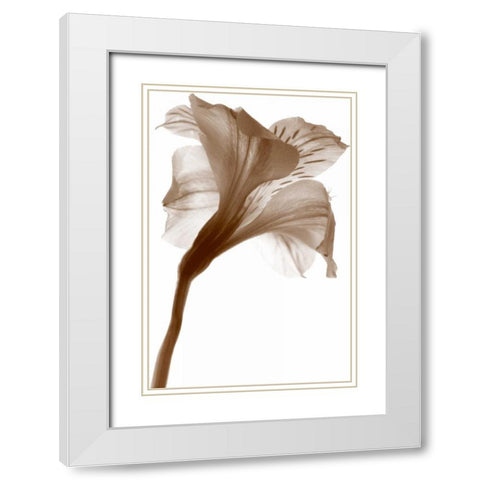 Inflorescence I White Modern Wood Framed Art Print with Double Matting by Project, A.