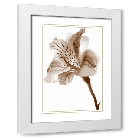 Inflorescence II White Modern Wood Framed Art Print with Double Matting by Project, A.