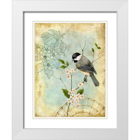 Songbird Sketchbook II White Modern Wood Framed Art Print with Double Matting by Maday, Jane