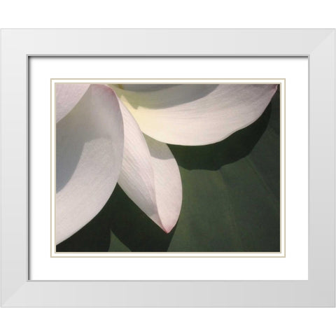 Lotus Detail IV White Modern Wood Framed Art Print with Double Matting by Christensen, Jim