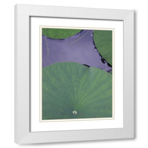 Lotus Detail X White Modern Wood Framed Art Print with Double Matting by Christensen, Jim