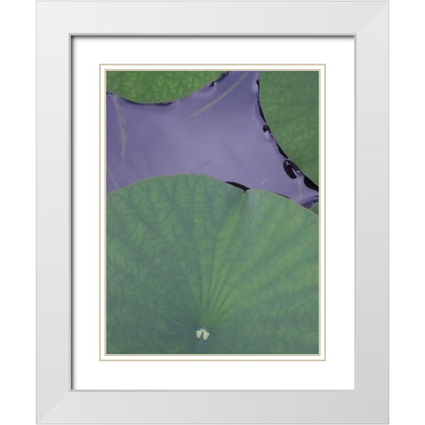 Lotus Detail X White Modern Wood Framed Art Print with Double Matting by Christensen, Jim
