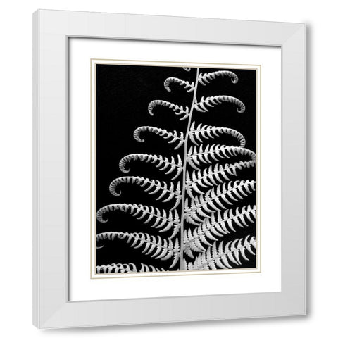 Fern II White Modern Wood Framed Art Print with Double Matting by Christensen, Jim