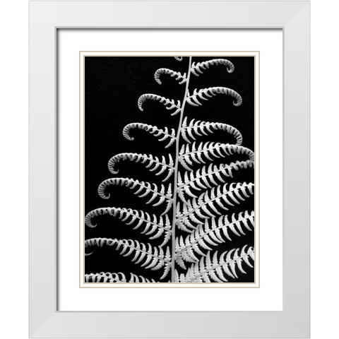 Fern II White Modern Wood Framed Art Print with Double Matting by Christensen, Jim
