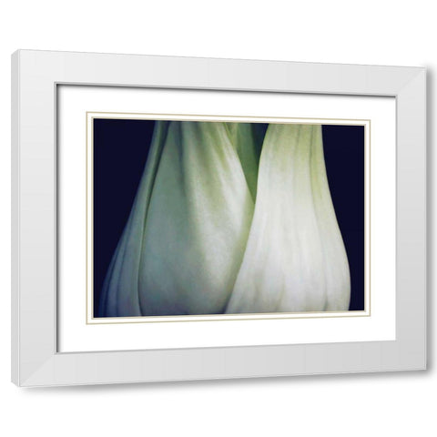 Bok Choy I White Modern Wood Framed Art Print with Double Matting by Christensen, Jim