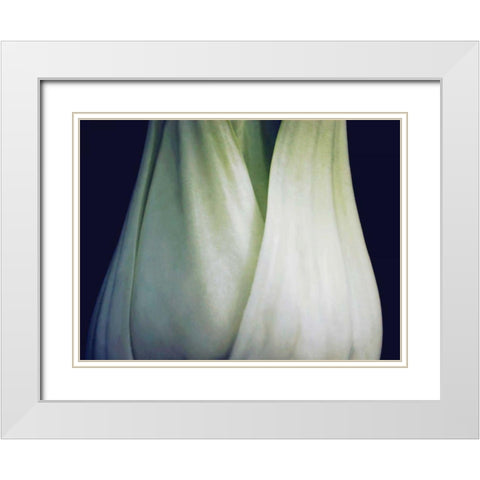 Bok Choy I White Modern Wood Framed Art Print with Double Matting by Christensen, Jim