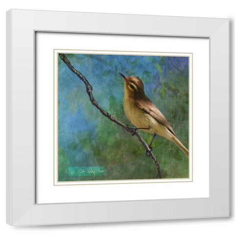 Viveo White Modern Wood Framed Art Print with Double Matting by Vest, Chris