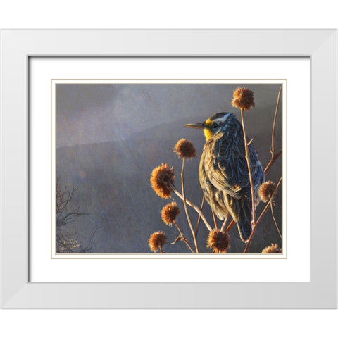 Meadowlark White Modern Wood Framed Art Print with Double Matting by Vest, Chris