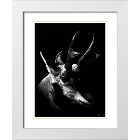 Wildlife Scratchboards II White Modern Wood Framed Art Print with Double Matting by Chapman, Julie T.