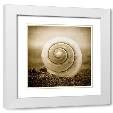 Cochlear III White Modern Wood Framed Art Print with Double Matting by Hartson-Weddle, Ryan