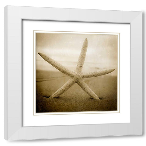 Right at Home White Modern Wood Framed Art Print with Double Matting by Hartson-Weddle, Ryan