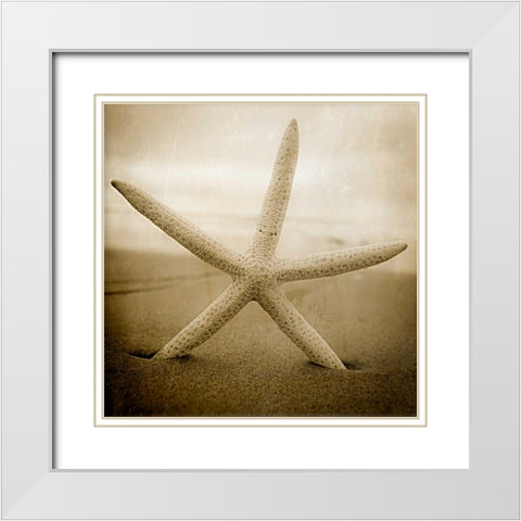 Right at Home White Modern Wood Framed Art Print with Double Matting by Hartson-Weddle, Ryan
