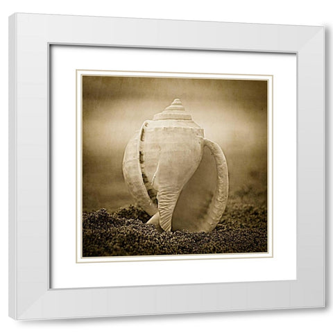 A Suitable Dwelling White Modern Wood Framed Art Print with Double Matting by Hartson-Weddle, Ryan