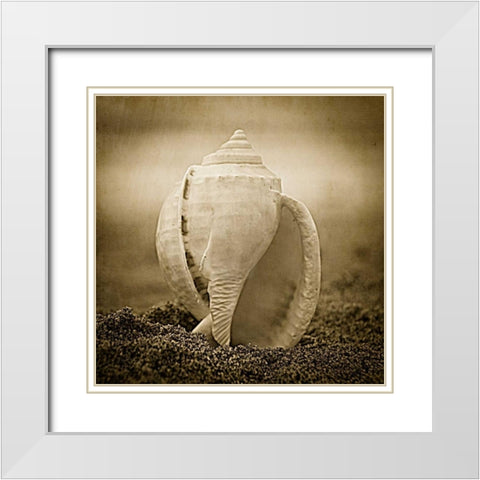 A Suitable Dwelling White Modern Wood Framed Art Print with Double Matting by Hartson-Weddle, Ryan