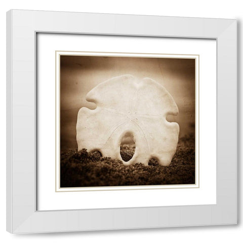 More Than a Dollars Worth White Modern Wood Framed Art Print with Double Matting by Hartson-Weddle, Ryan