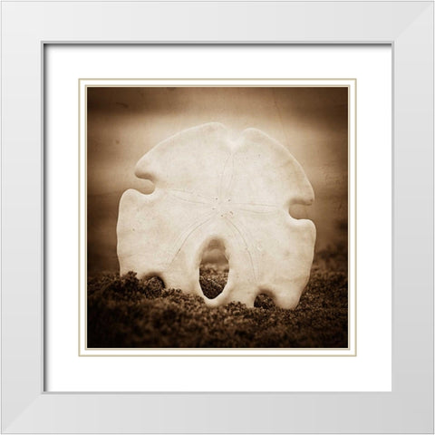 More Than a Dollars Worth White Modern Wood Framed Art Print with Double Matting by Hartson-Weddle, Ryan