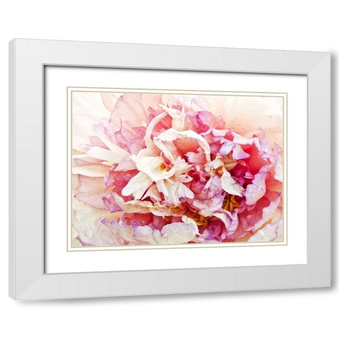 Monets Peony I White Modern Wood Framed Art Print with Double Matting by Perry, Rachel