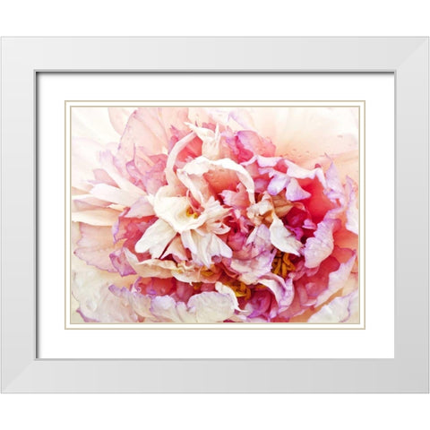 Monets Peony I White Modern Wood Framed Art Print with Double Matting by Perry, Rachel