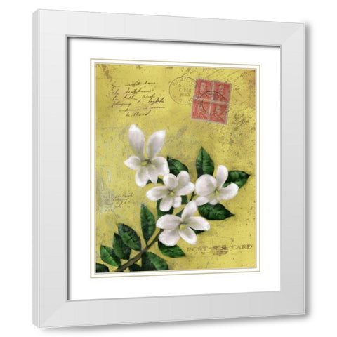 Postage VI White Modern Wood Framed Art Print with Double Matting by Novak, Rick