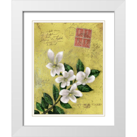 Postage VI White Modern Wood Framed Art Print with Double Matting by Novak, Rick