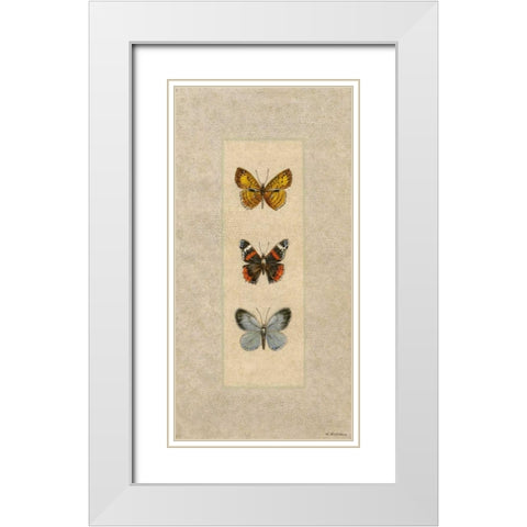 Butterfly Trio II White Modern Wood Framed Art Print with Double Matting by Russell, Wendy