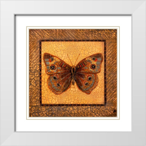 Crackled Butterfly - Buckeye White Modern Wood Framed Art Print with Double Matting by Russell, Wendy