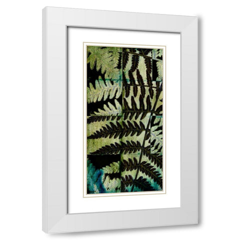 Midnight Ferns II White Modern Wood Framed Art Print with Double Matting by Vision Studio