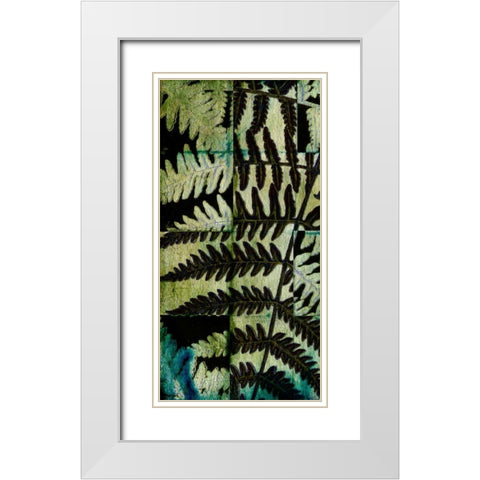 Midnight Ferns II White Modern Wood Framed Art Print with Double Matting by Vision Studio