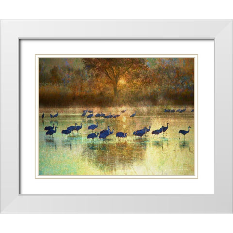 Cranes in Mist II White Modern Wood Framed Art Print with Double Matting by Vest, Chris