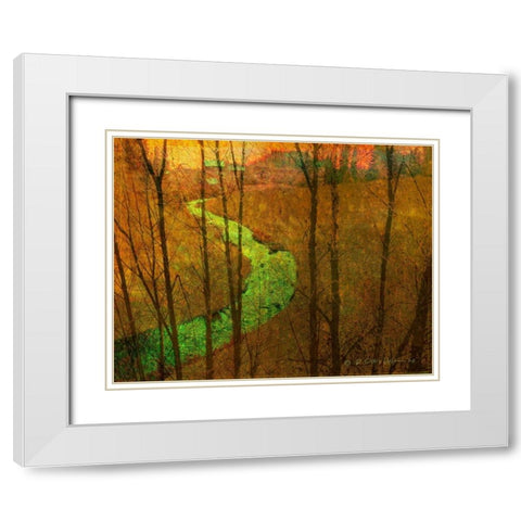 Woodblock Stream I White Modern Wood Framed Art Print with Double Matting by Vest, Chris