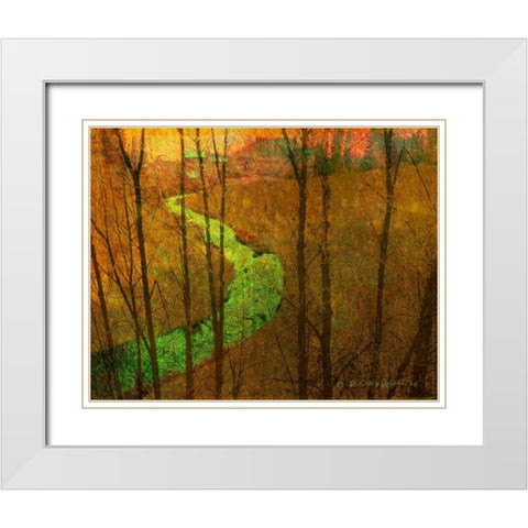 Woodblock Stream I White Modern Wood Framed Art Print with Double Matting by Vest, Chris