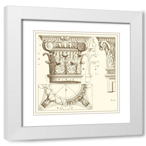 Corinthian Detail III White Modern Wood Framed Art Print with Double Matting by Vision Studio