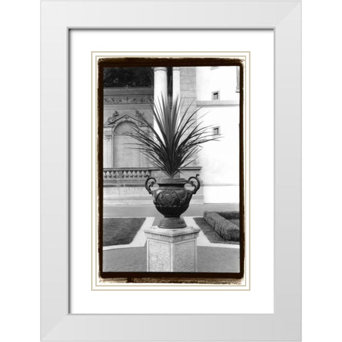 Royal Urn I White Modern Wood Framed Art Print with Double Matting by DeNardo, Laura