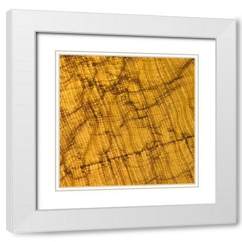 Natures Textures I White Modern Wood Framed Art Print with Double Matting by Vision Studio