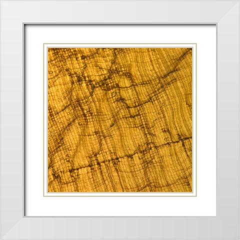Natures Textures I White Modern Wood Framed Art Print with Double Matting by Vision Studio