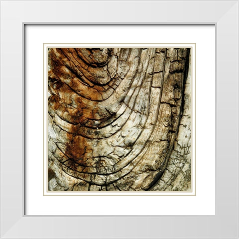 Natures Textures III White Modern Wood Framed Art Print with Double Matting by Vision Studio