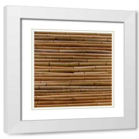 Natures Textures IV White Modern Wood Framed Art Print with Double Matting by Vision Studio
