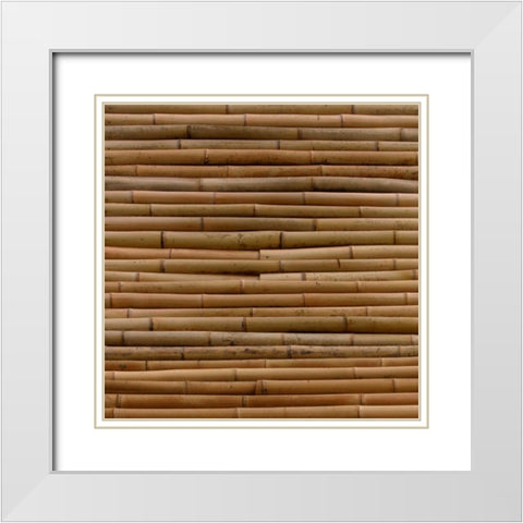 Natures Textures IV White Modern Wood Framed Art Print with Double Matting by Vision Studio