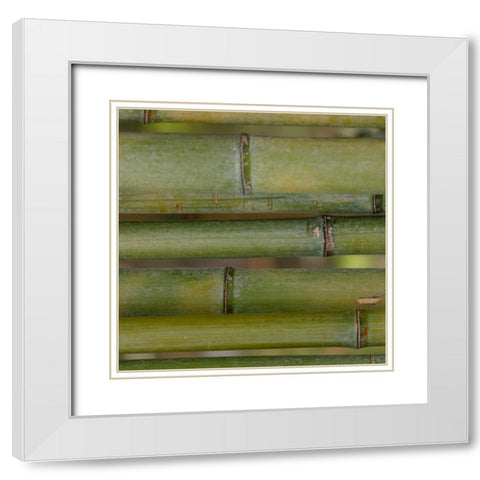 Natures Textures V White Modern Wood Framed Art Print with Double Matting by Vision Studio