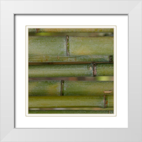 Natures Textures V White Modern Wood Framed Art Print with Double Matting by Vision Studio