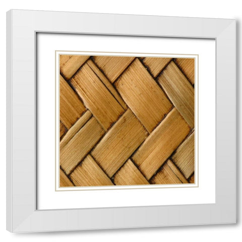 Natures Textures VI White Modern Wood Framed Art Print with Double Matting by Vision Studio