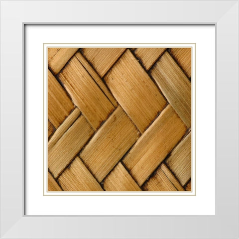 Natures Textures VI White Modern Wood Framed Art Print with Double Matting by Vision Studio