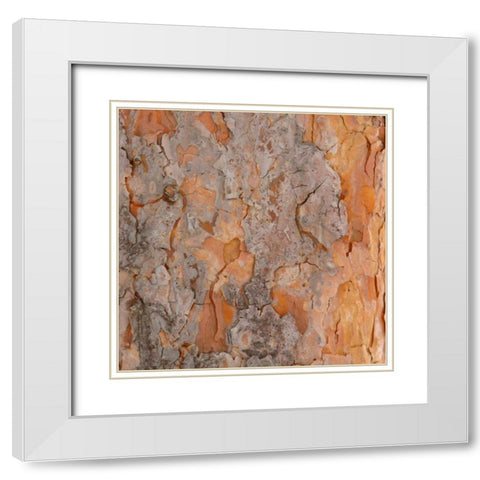 Natures Textures VII White Modern Wood Framed Art Print with Double Matting by Vision Studio