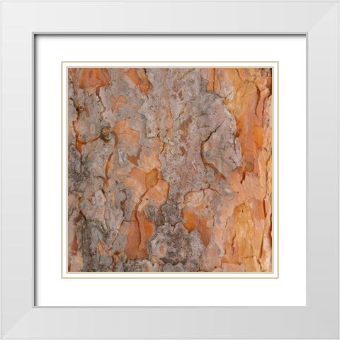 Natures Textures VII White Modern Wood Framed Art Print with Double Matting by Vision Studio