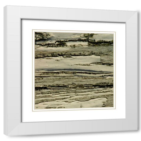 Natures Textures VIII White Modern Wood Framed Art Print with Double Matting by Vision Studio