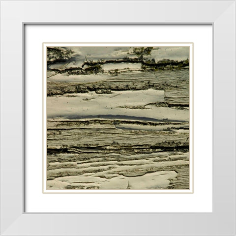 Natures Textures VIII White Modern Wood Framed Art Print with Double Matting by Vision Studio