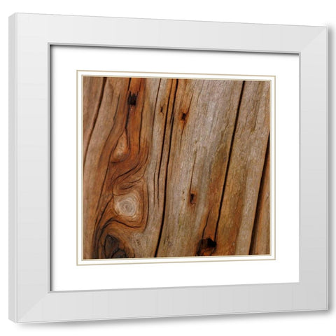 Natures Textures IX White Modern Wood Framed Art Print with Double Matting by Vision Studio