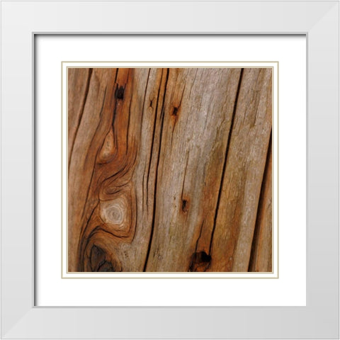 Natures Textures IX White Modern Wood Framed Art Print with Double Matting by Vision Studio